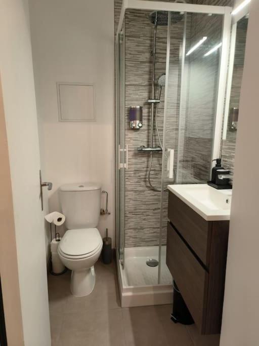 Charmant Studio - Gare Colmar Ngoại thất bức ảnh